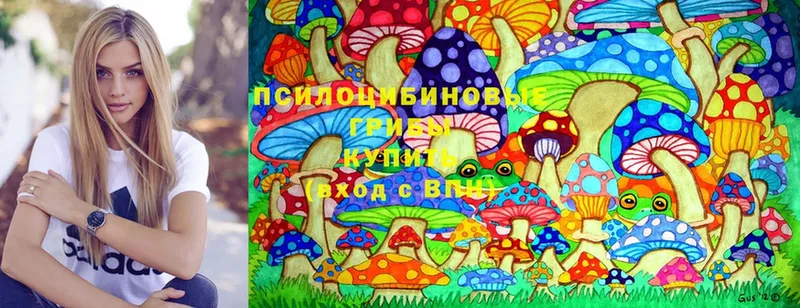 ОМГ ОМГ как войти  Богучар  Галлюциногенные грибы Psilocybine cubensis 